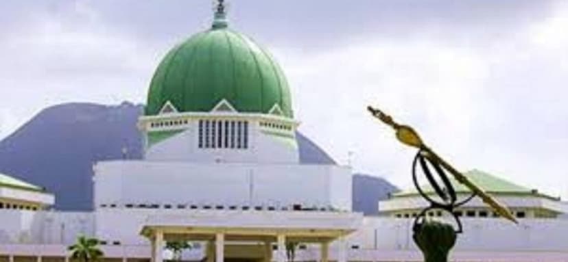 NASS proposes distinct salary structure, job security for legislative aides