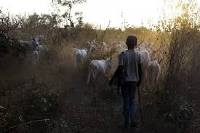 Suspected herders kill mother, son, two others in renewed Benue attack