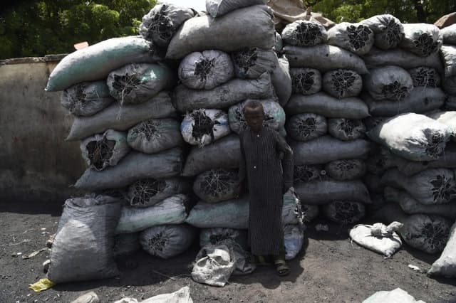 Experts warn that 90 million Nigerian households face health risks from solid fuel cooking