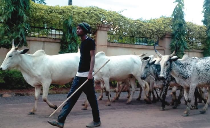 Residents desert homes as herdsmen, vigilante clash in Imo community