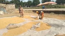 Local Production: Rice mills collapsing