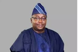 FG eyes $238m Japan loan for national grid expansion