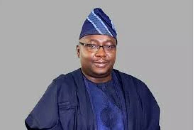 FG eyes $238m Japan loan for national grid expansion