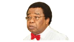 Nigeria risks energy, trade instability meddling in Russia-Ukraine War — Prof Akinyemi