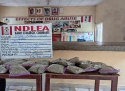 NDLEA nabs 27-year-old man with 9kg cannabis worth N10m in Kano
