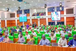 LIST: 48 Reps, 5 Senators did not sponsor bills, join plenary debate in one year — Report