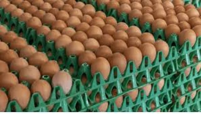 Lagos residents debunk egg price slash