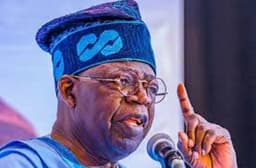 BREAKING: Tinubu orders temporary ban on export of raw shea nuts