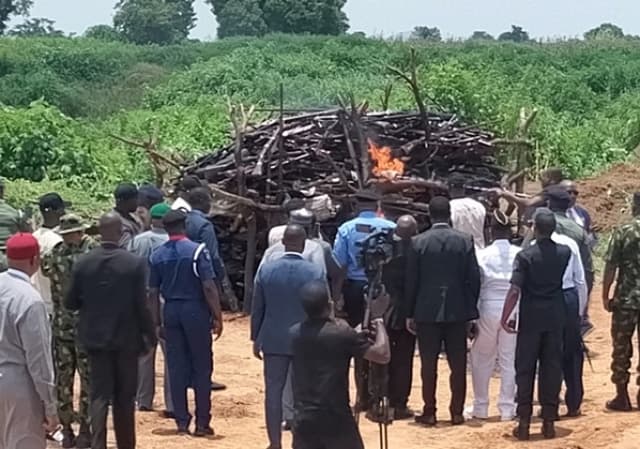 FG destroys 1,316 illicit arms in push against proliferation