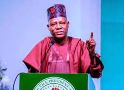 NEC endorses renewed hope economic plan
