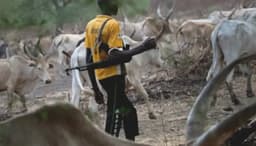 Plateau Killings: We’ve been unjustly labeled as aggressors — Herders