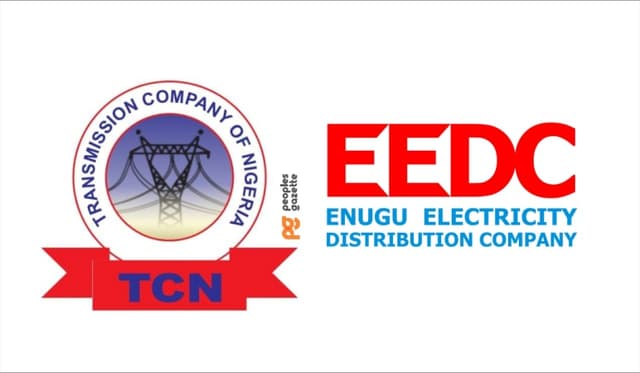 Blackout: TCN faults Enugu Electric, says no incident of explosion at Onitsha Sub-Region