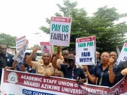 Looming Crisis in Universities: Professors earn N633,333, senators ‘N21 million’