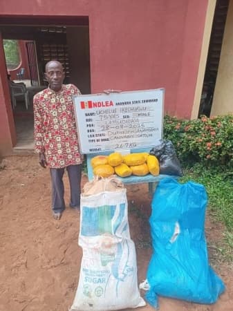 NDLEA nabs drug kingpin with large consignment of Loud, Colorado in Ekiti