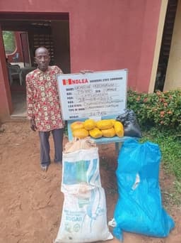 NDLEA nabs drug kingpin with large consignment of Loud, Colorado in Ekiti