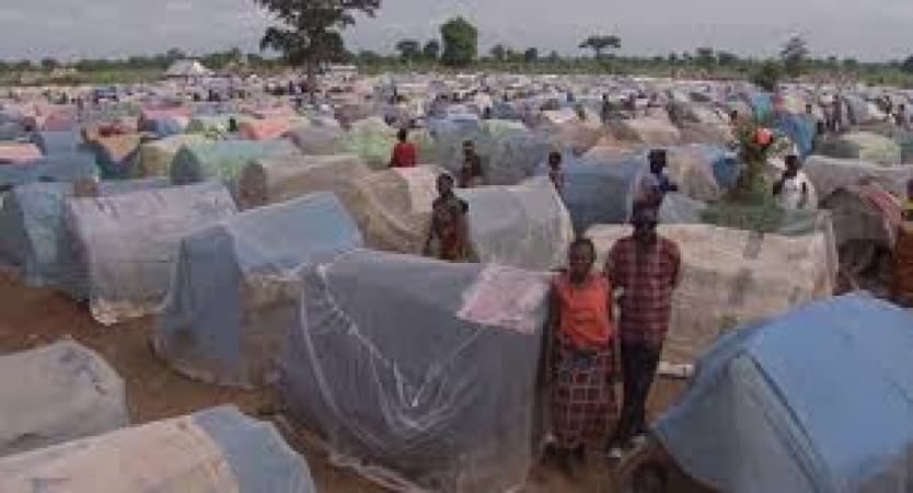 Benue IDPs lament snake bites as 14-year-old latest victim convulses