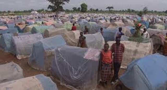 Benue IDPs lament snake bites as 14-year-old latest victim convulses