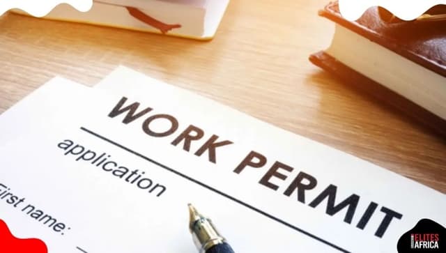 10 countries with labour shortage hiring Nigerians in 2025