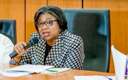 DMO warns states against debt, cites past national crisis