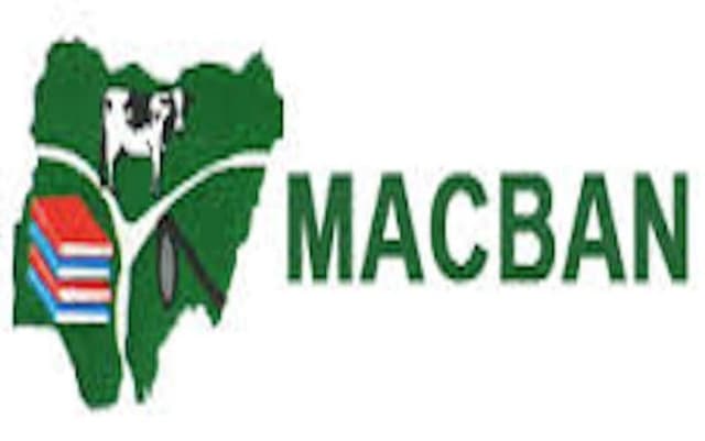 Benue MACBAN alleges killing of 70 cows