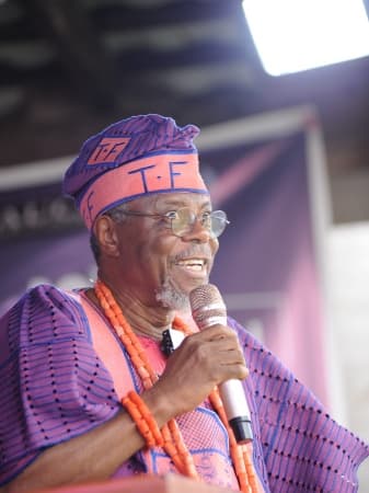 Royal supremacy war: Don challenges historians, calls for retreat to educate traditional rulers