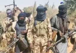 Bandits abduct, rape victims in Zamfara community