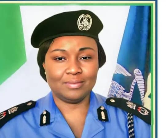 Police arrest suspected Kidnapper in Taraba