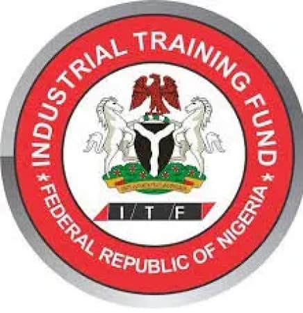 ITF warns organisations, employers against rejection of IT students