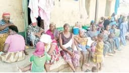 Insecurity: IDPs take over schools in Benue, Niger, Katsina