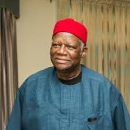 Nigeria needs new constitution, not amendment