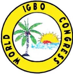 World Igbo Congress USA Convention raises posers