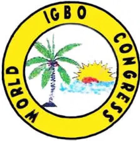 World Igbo Congress USA Convention raises posers