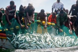 Fisheries operators pick holes in Marine and Blue Economy policy targets