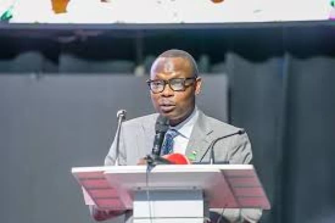 FG to deploy solar energy for hospitals, says Deputy Health Minister Salako