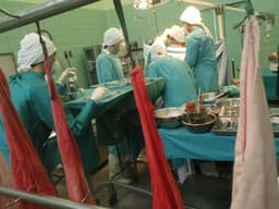 Nigeria moves to curb organ trafficking with new transplantation guidelines