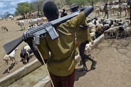 Armed herdsmen attack Benue community, kill one, injure others