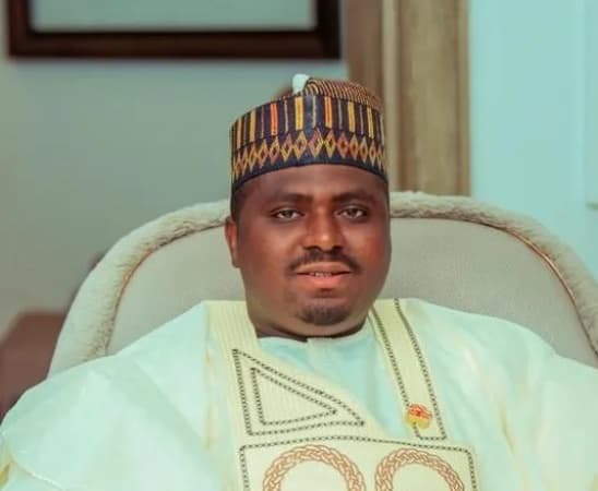 Tinubu’s aide appoints two ‘Directors-General’ and five media aides