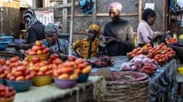 Nigeria’s headline inflation eases to 20.12 per cent in August