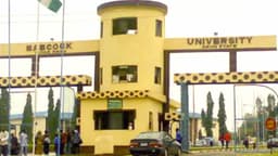 Babcock varsity clears the air on sex allegation against VC candidate