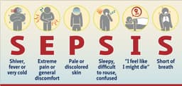 Sepsis: When a simple infection turns deadly
