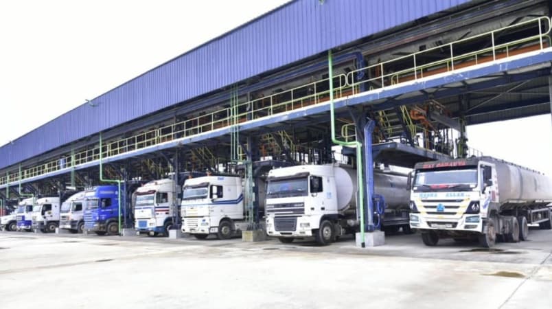 4,000 CNG Trucks: Probe Dangote’s road safety records, DAPPMAN tells FRSC