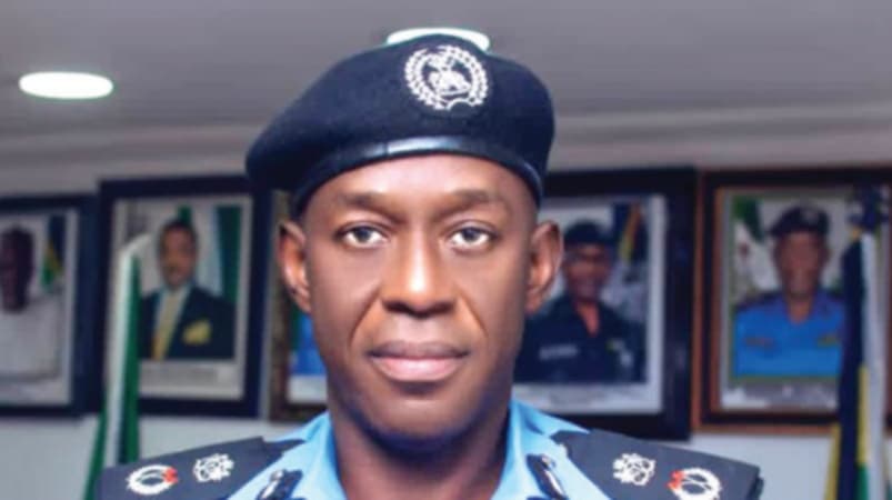 Police arrest nine over self-kidnap, ransom plot in Niger