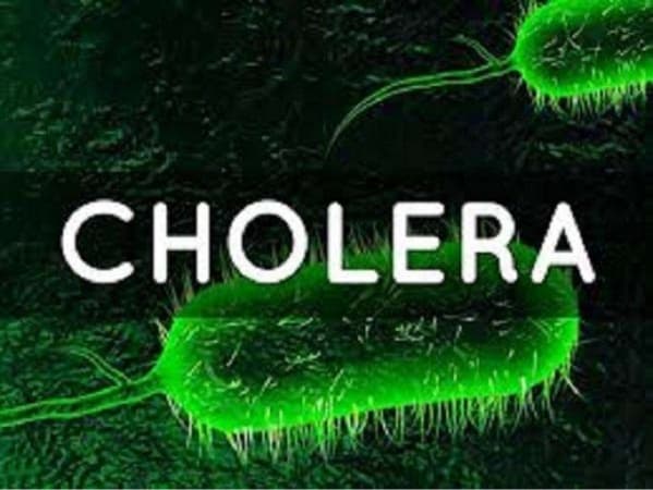 Cholera kills 58 in Bauchi