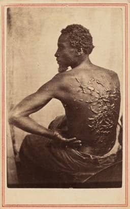 ‘Scourged Back’ exposed the horror of slavery. Now it’s embroiled in America’s censorship debate