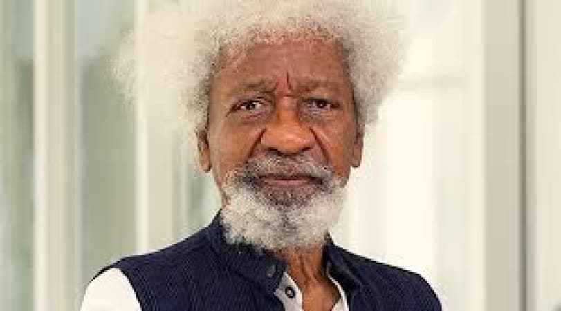 Wole Soyinka Backs Campaign To Honour Igbo Ancestors 223 Years After Landing Tragedy  