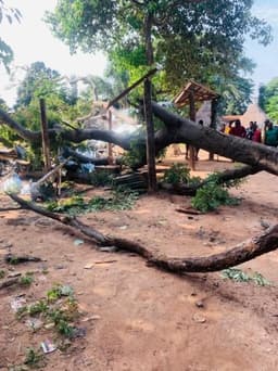 One killed, several injured as tree falls on Okada stand in Benue