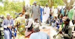 Banditry: Giving criminals free pass in the name of dialogue is unacceptable — Northern League