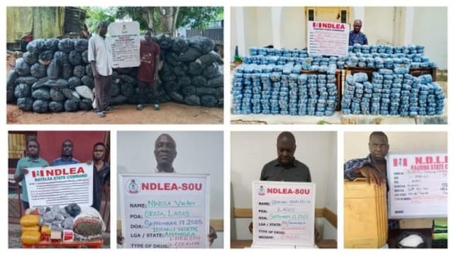 NDLEA arrests 2 drug kingpins with consignments of cocaine, others
