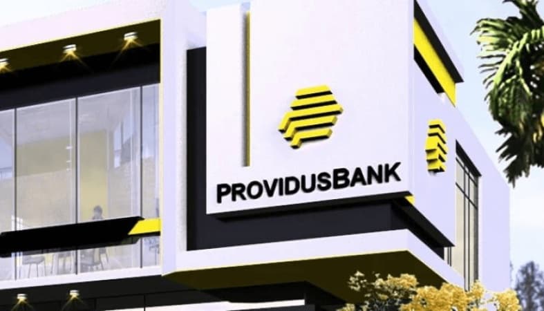 Providus becomes 9th largest bank after merger with Unity bank