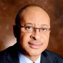 Court stops Pat Utomi from forming a “Shadow Govt,” says it is unconstitutional